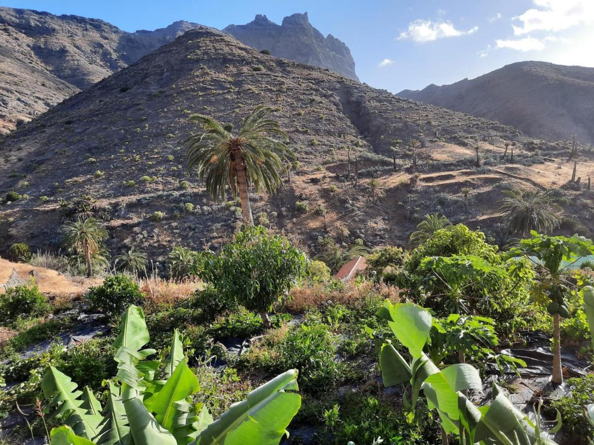 Casa Rural La Vega Alojera Exteriör bild